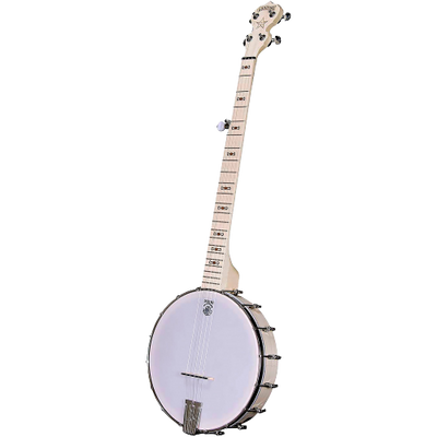 Deering Goodtime Banjo
