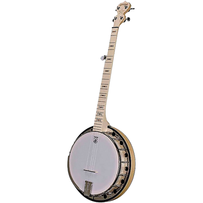 Deering The Goodtime 2 Banjo