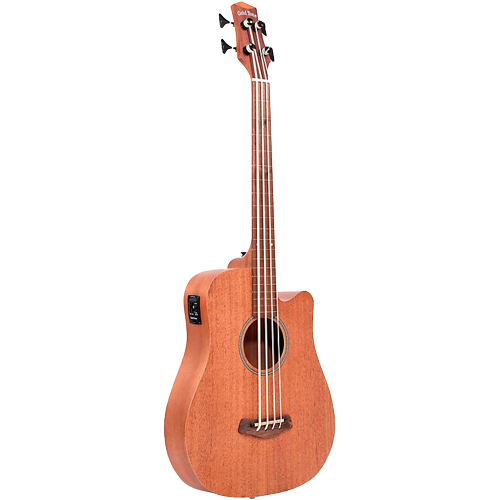 Gold Tone 25" Scale Fretless Acoustic-Electric MicroBass Natural