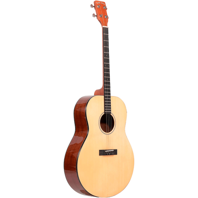 Gold Tone TG-10 Tenor Acoustic Guitar Natural