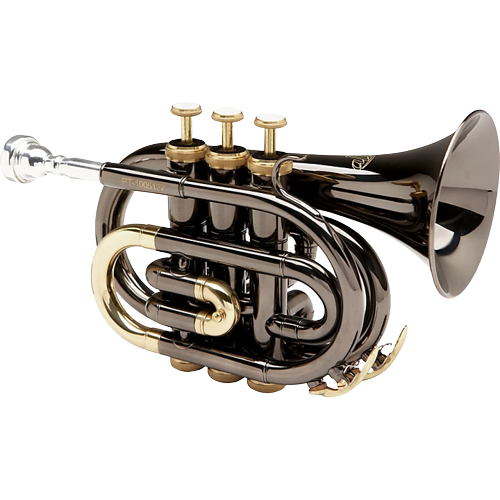 Allora MXPT-5801-BK Black Nickel Series Pocket Trumpet Black Nickel